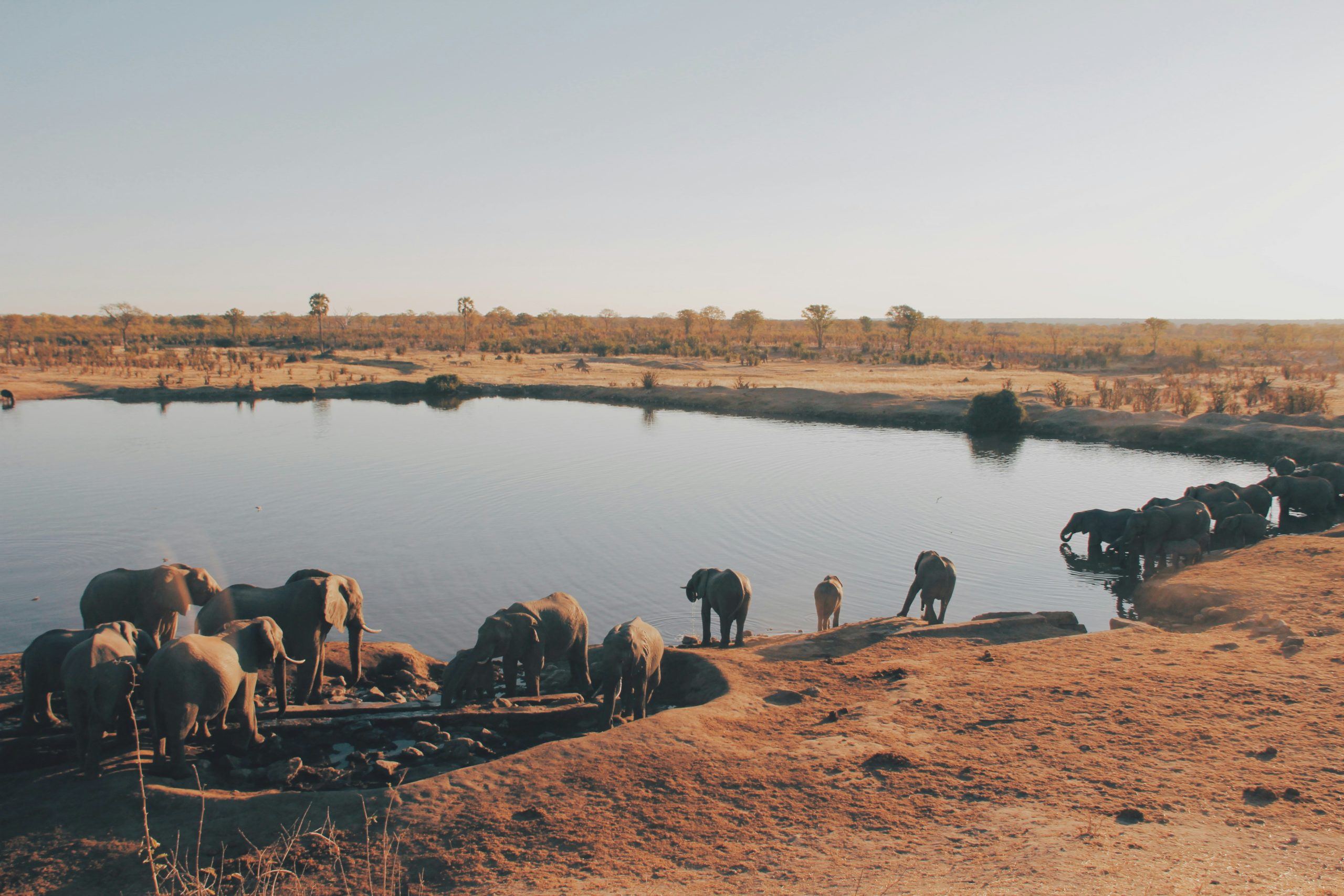 Victoria Falls and Hwange National Park Tour