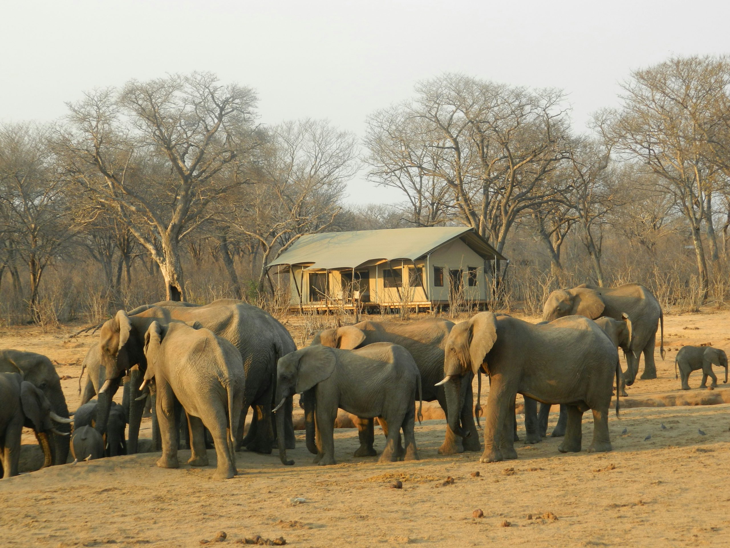 Hwange National Park
