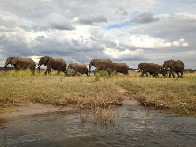Chobe National Park