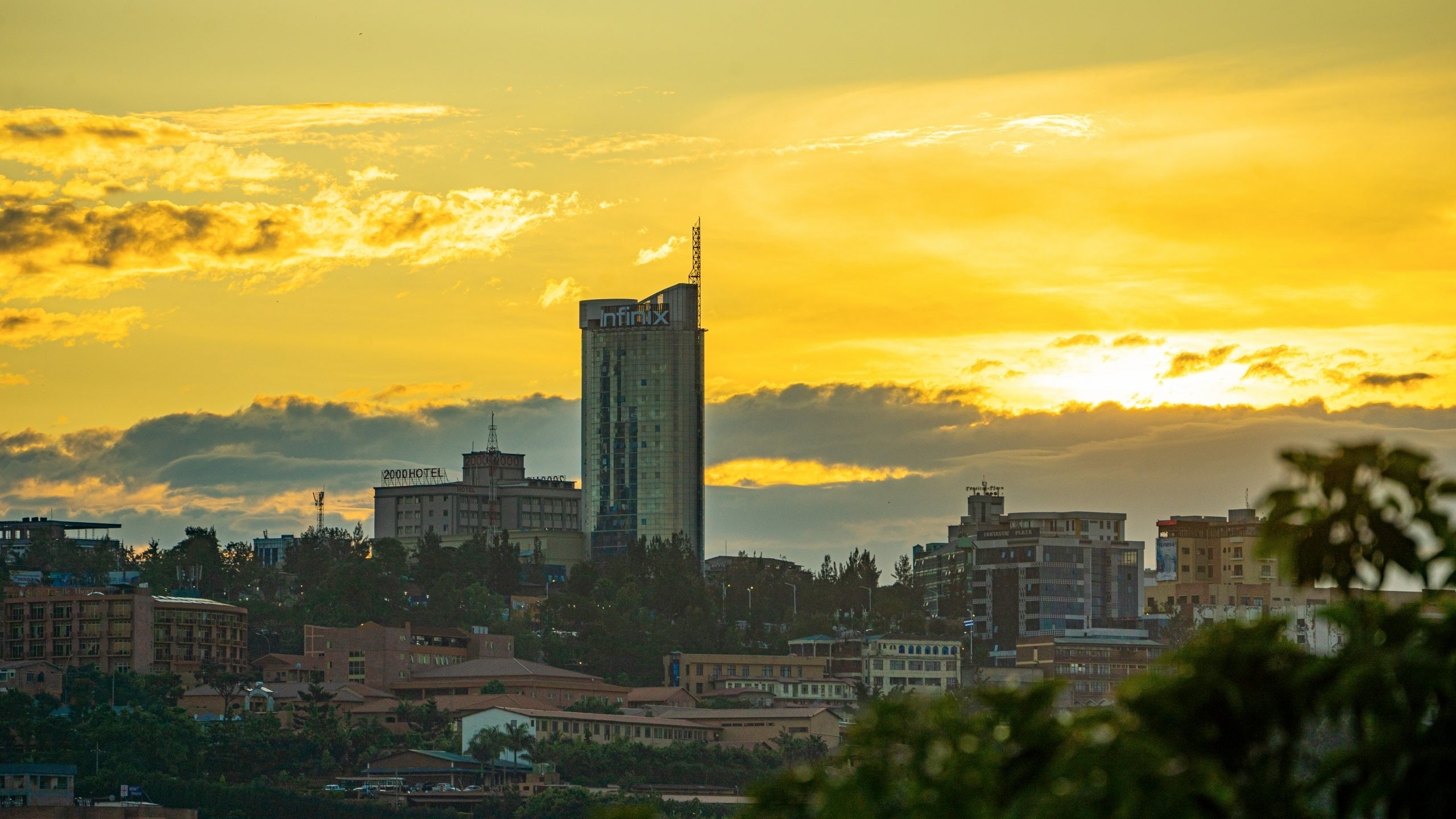 Rwanda Mountain Gorillas Tour