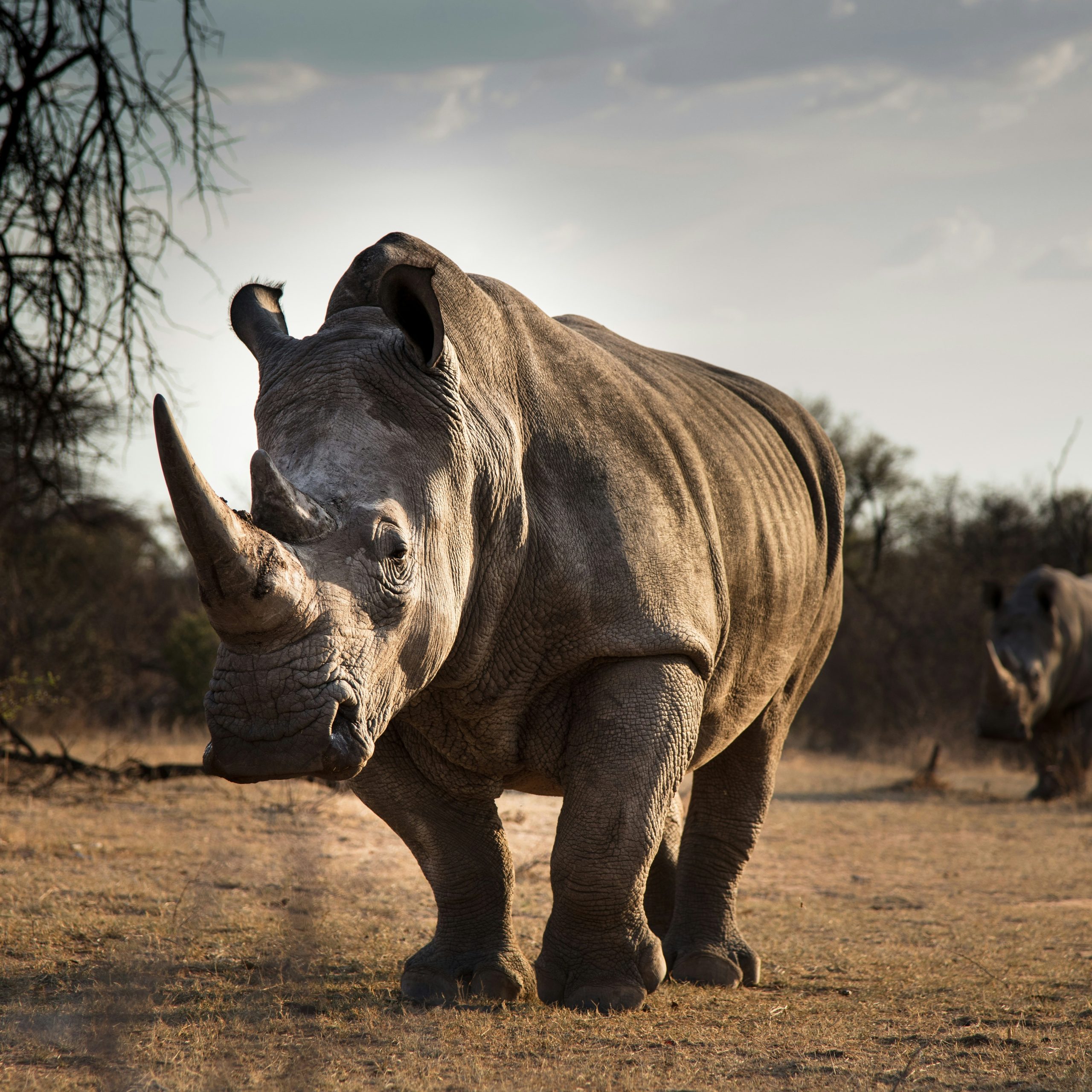 Etosha National Park
