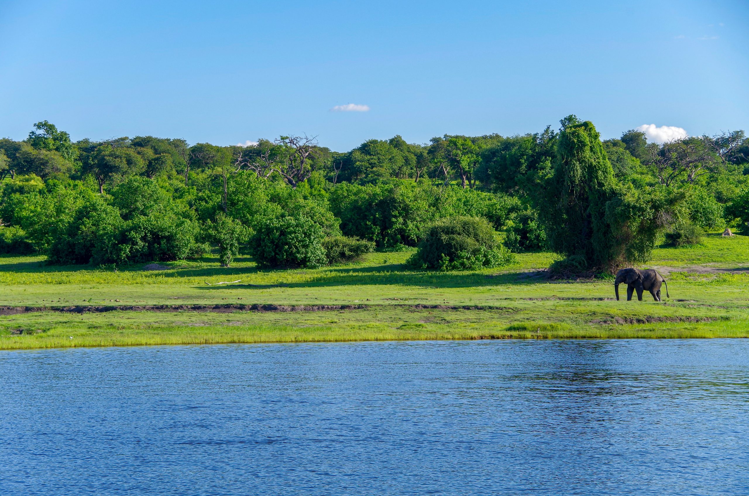 Highlights of Victoria Falls & Chobe Park Tour
