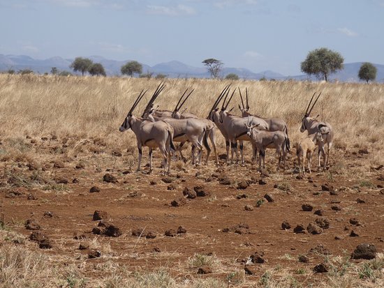 Simien Mountains National Park