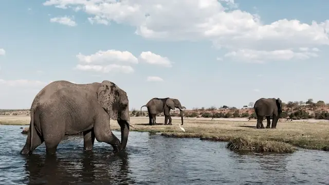 Botswana Hemingway Great Explorer Safari