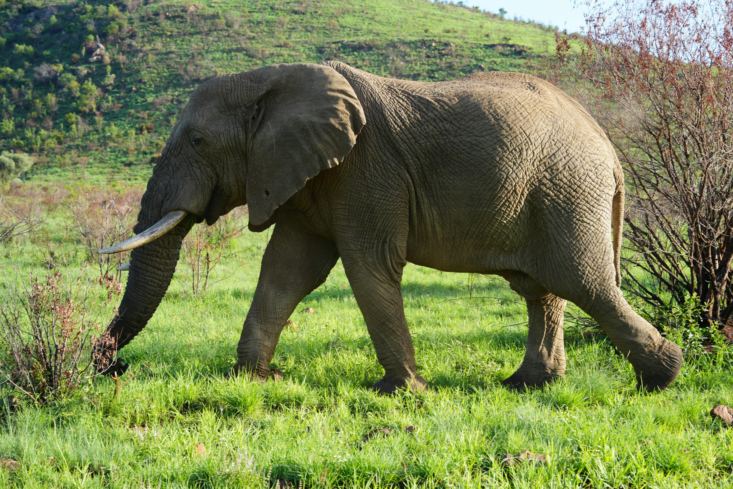 Chobe National Park
