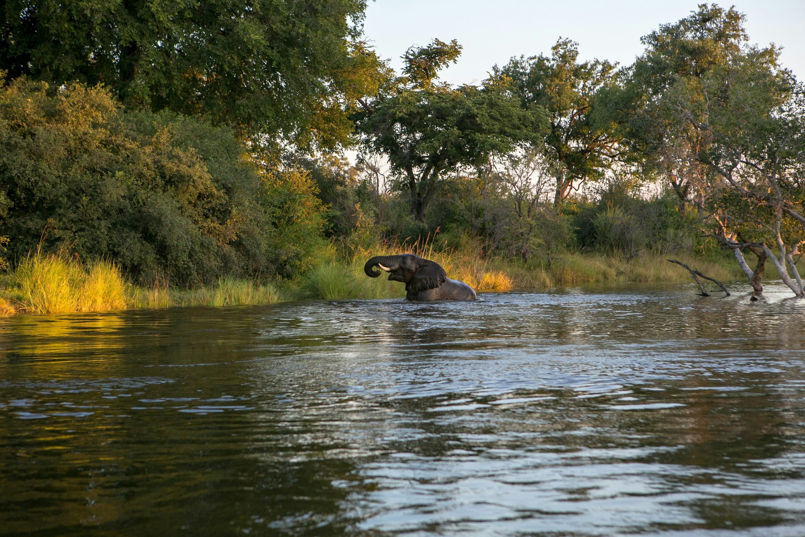 Victoria Falls National Park
