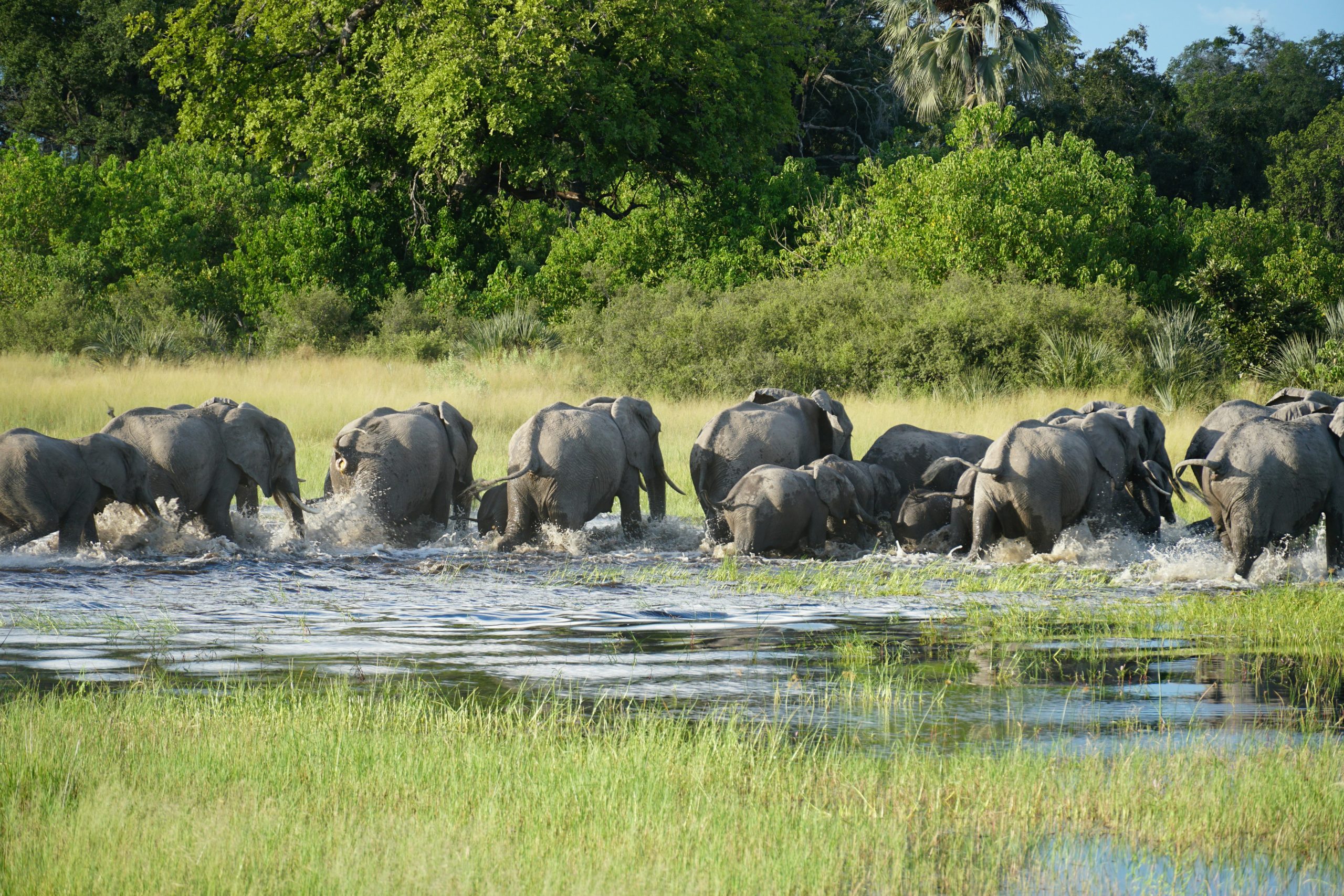 Botswana Hemingway Great Explorer Safari
