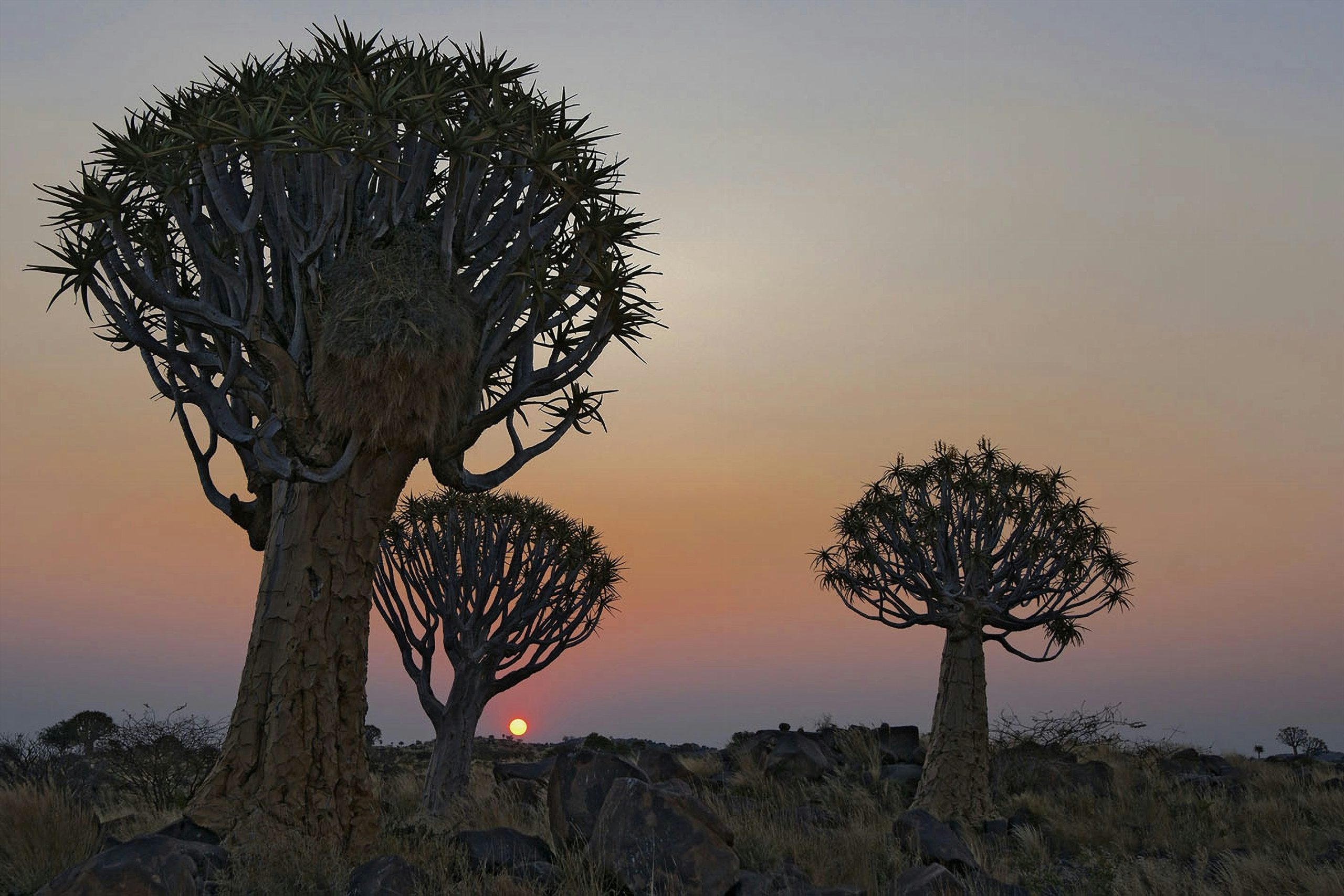 The Grand Namibian Luxury Tour