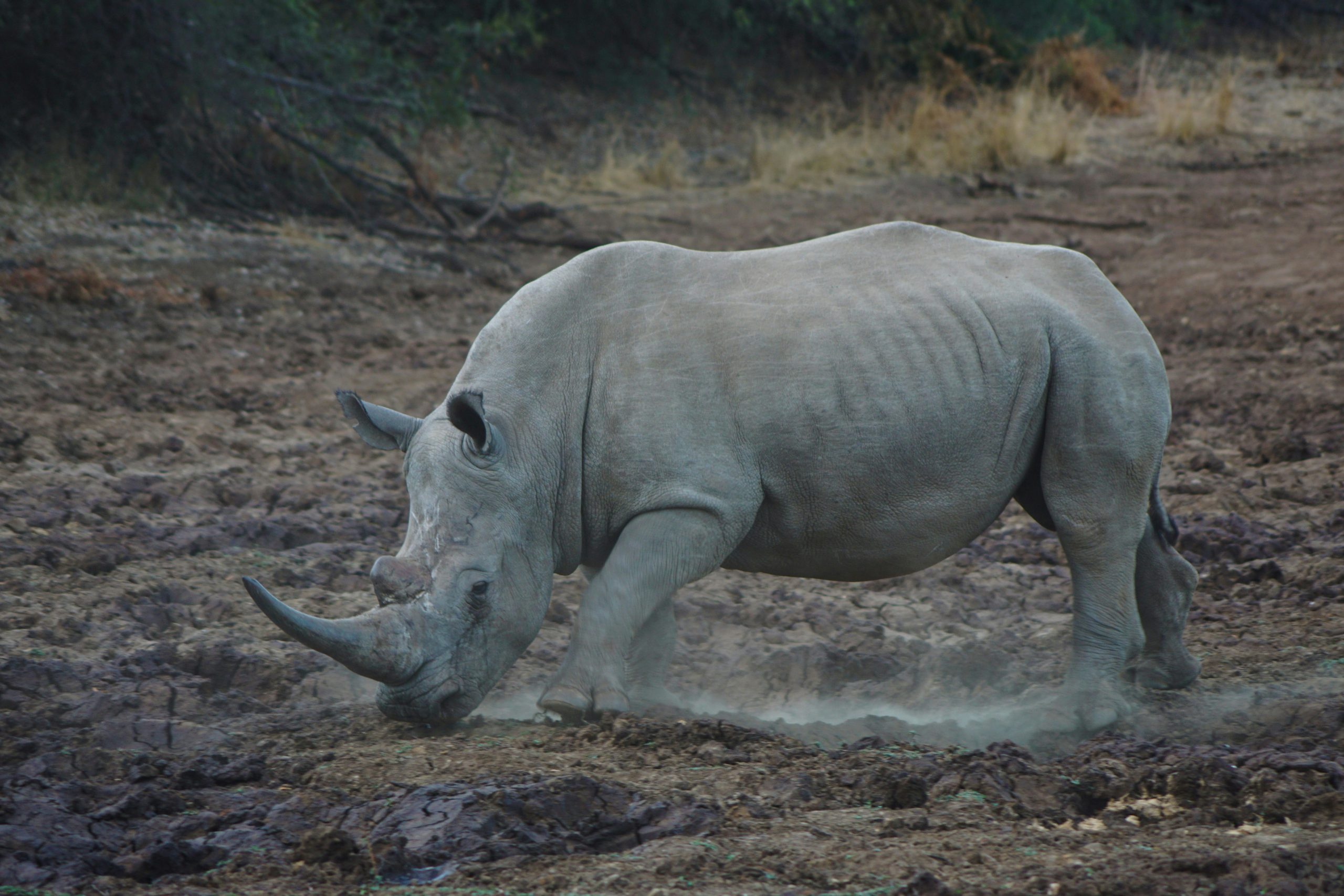 Mosi oa Tunya National Park