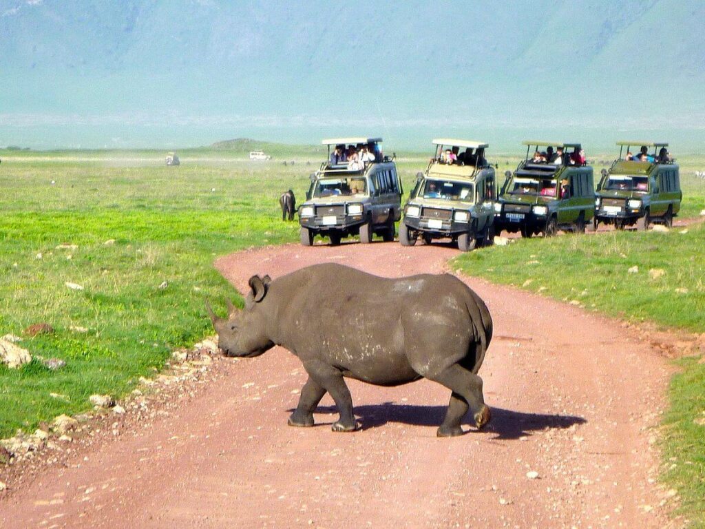 A Typical Day on Safari in Tanzania