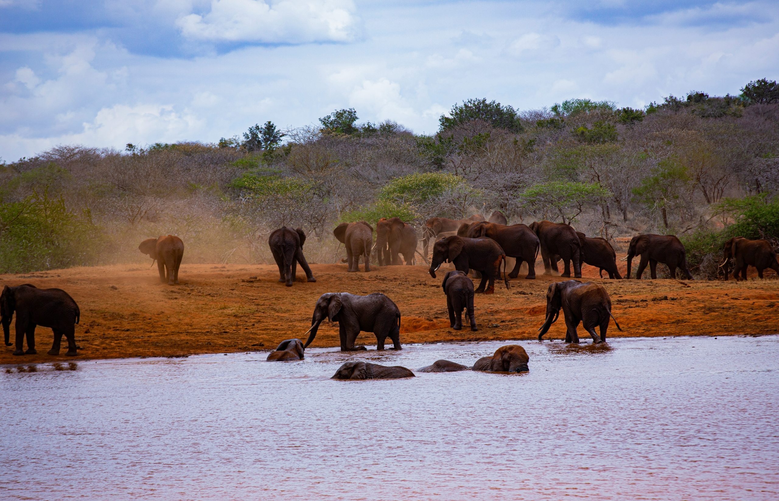 Classic Kenya Sun & Sand
