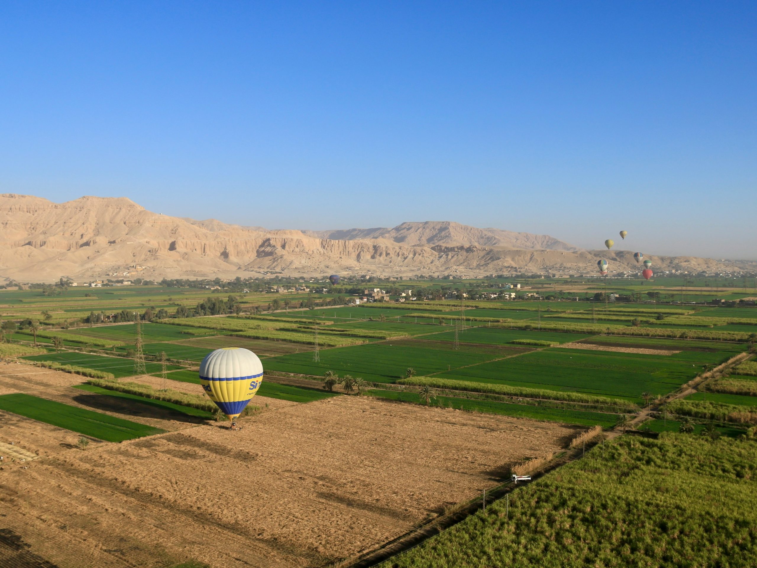 Egypt Country Factsheet