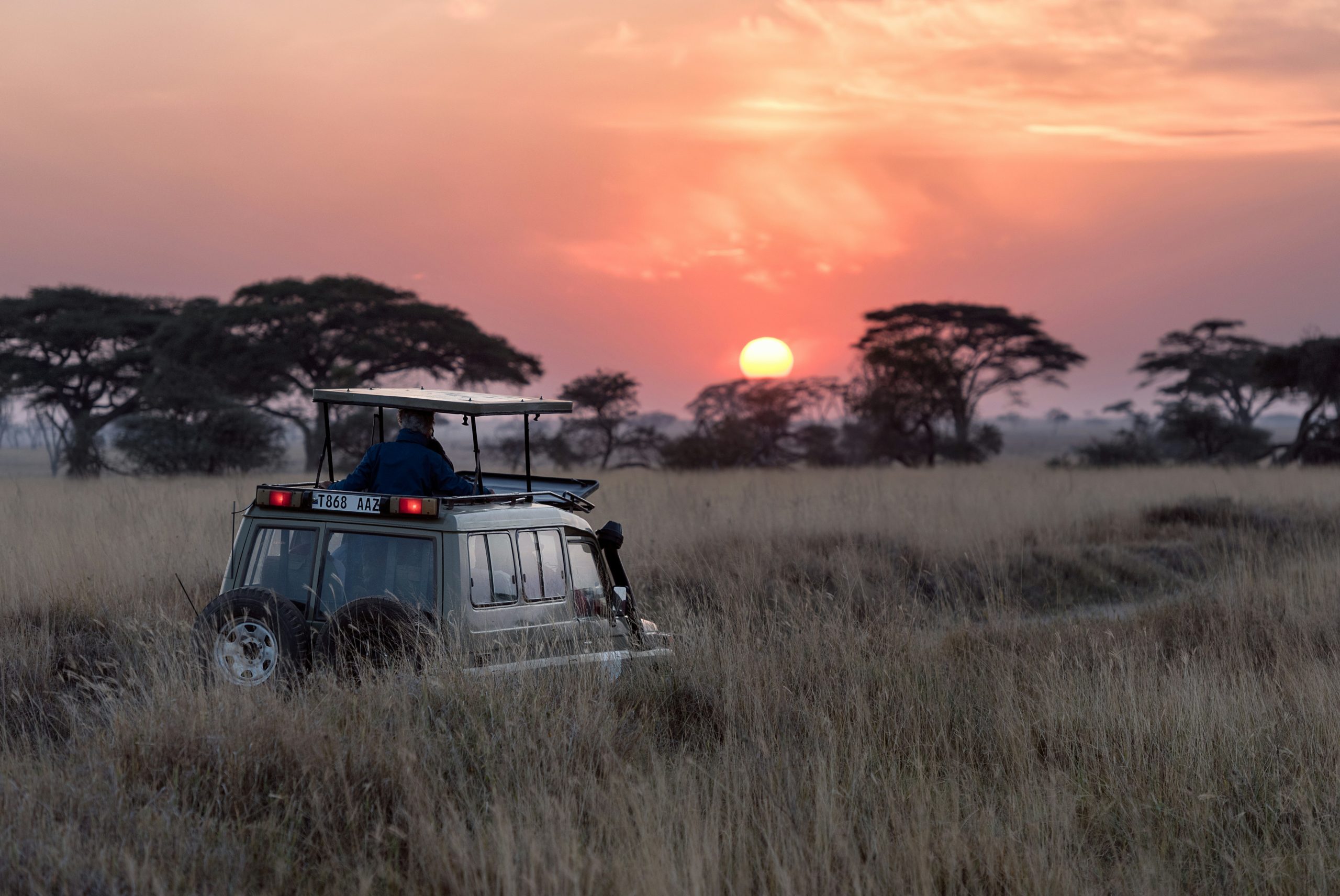 A Typical Day on Safari in Tanzania