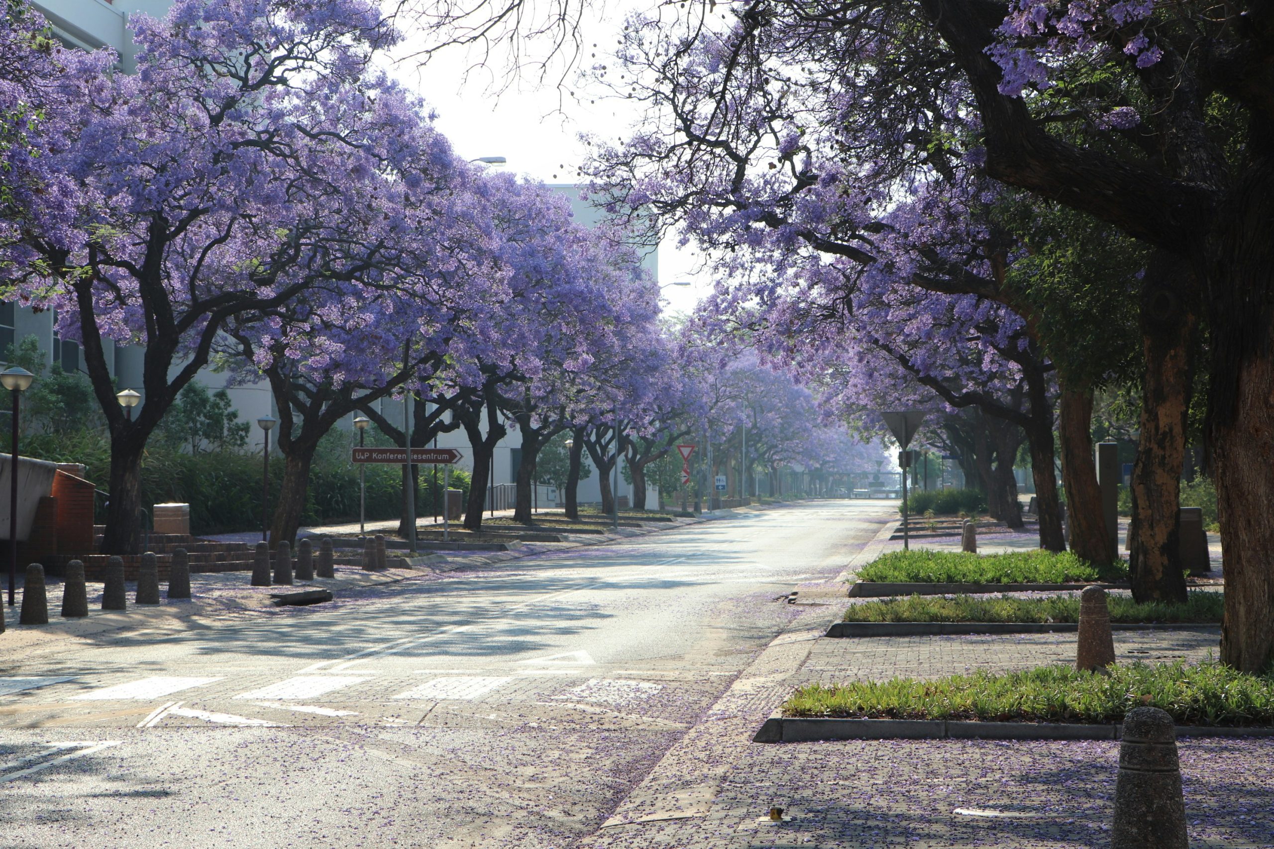 South Africa Country Factsheet