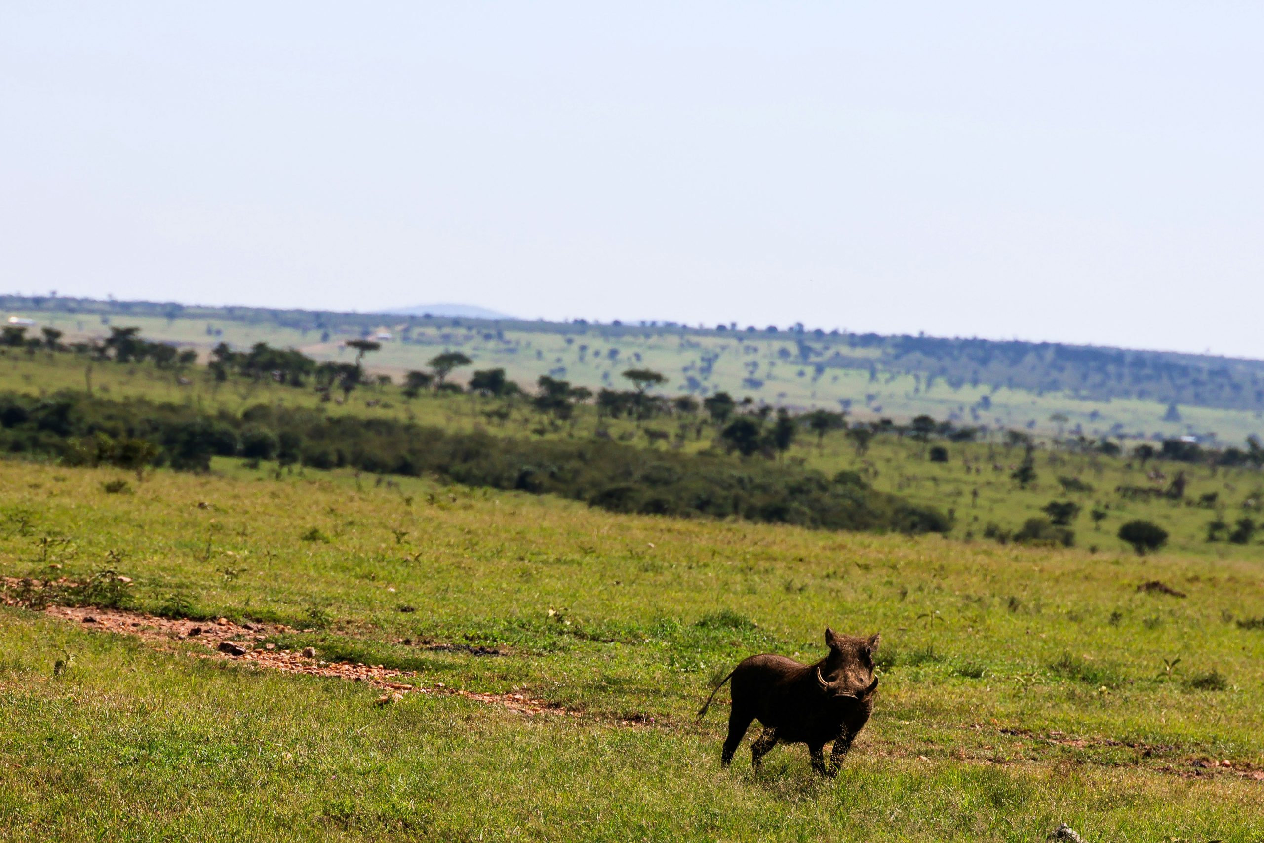 Classic Kenya Sun & Sand