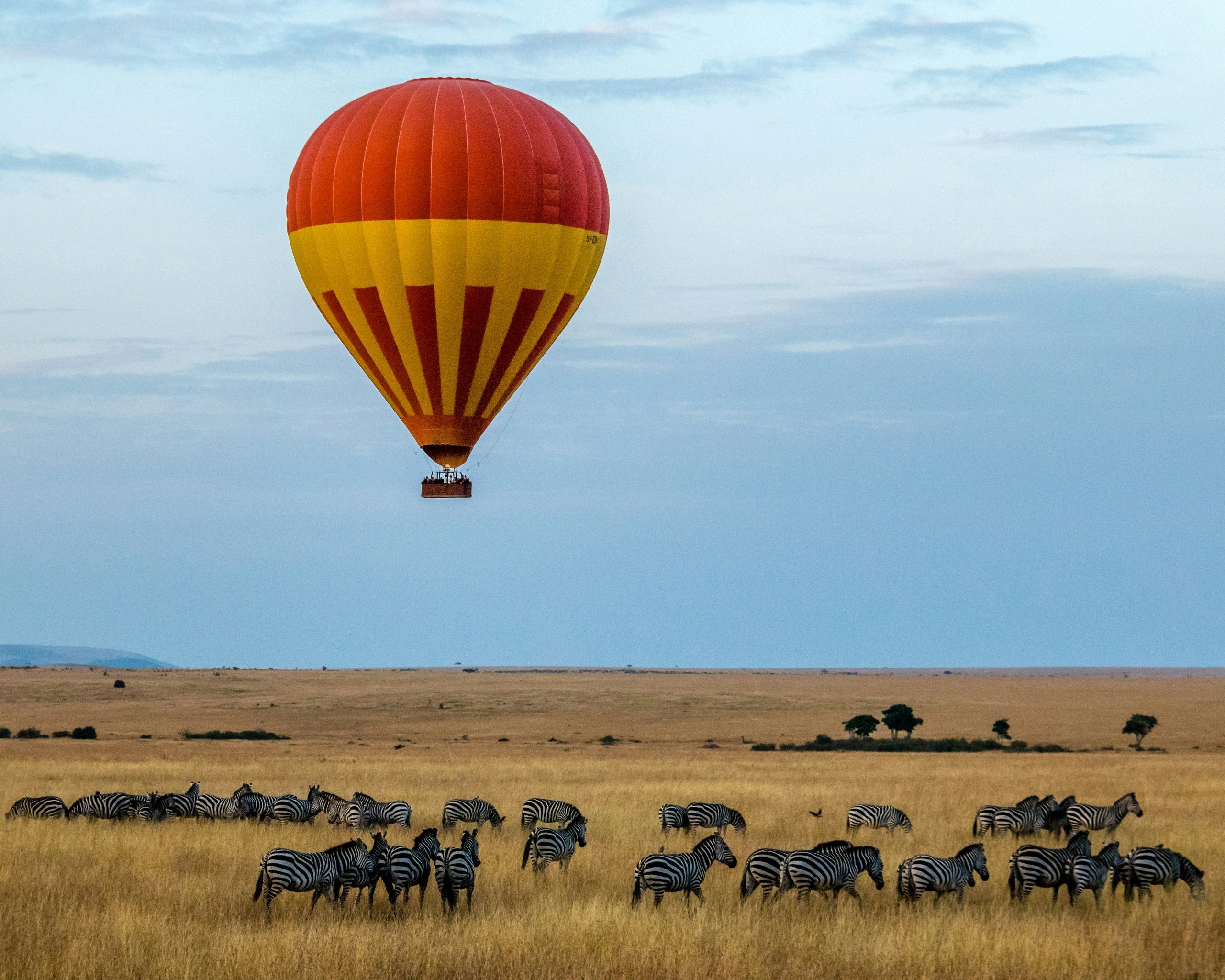 Taste of Kenya Conservation Safari