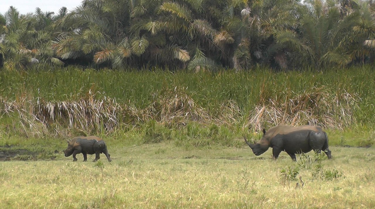family-safari-to-meru-national-park