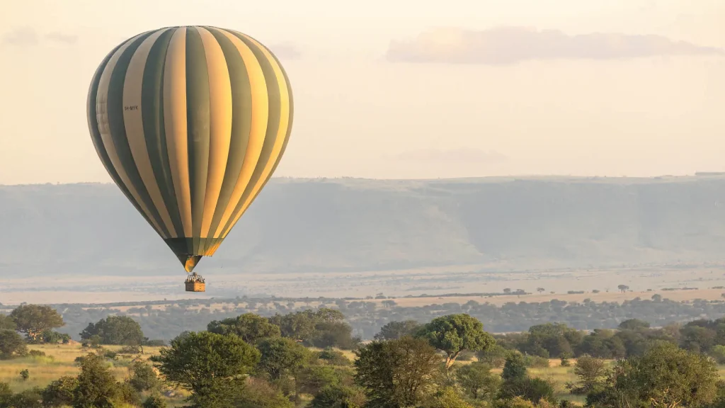 Tanzania Safari