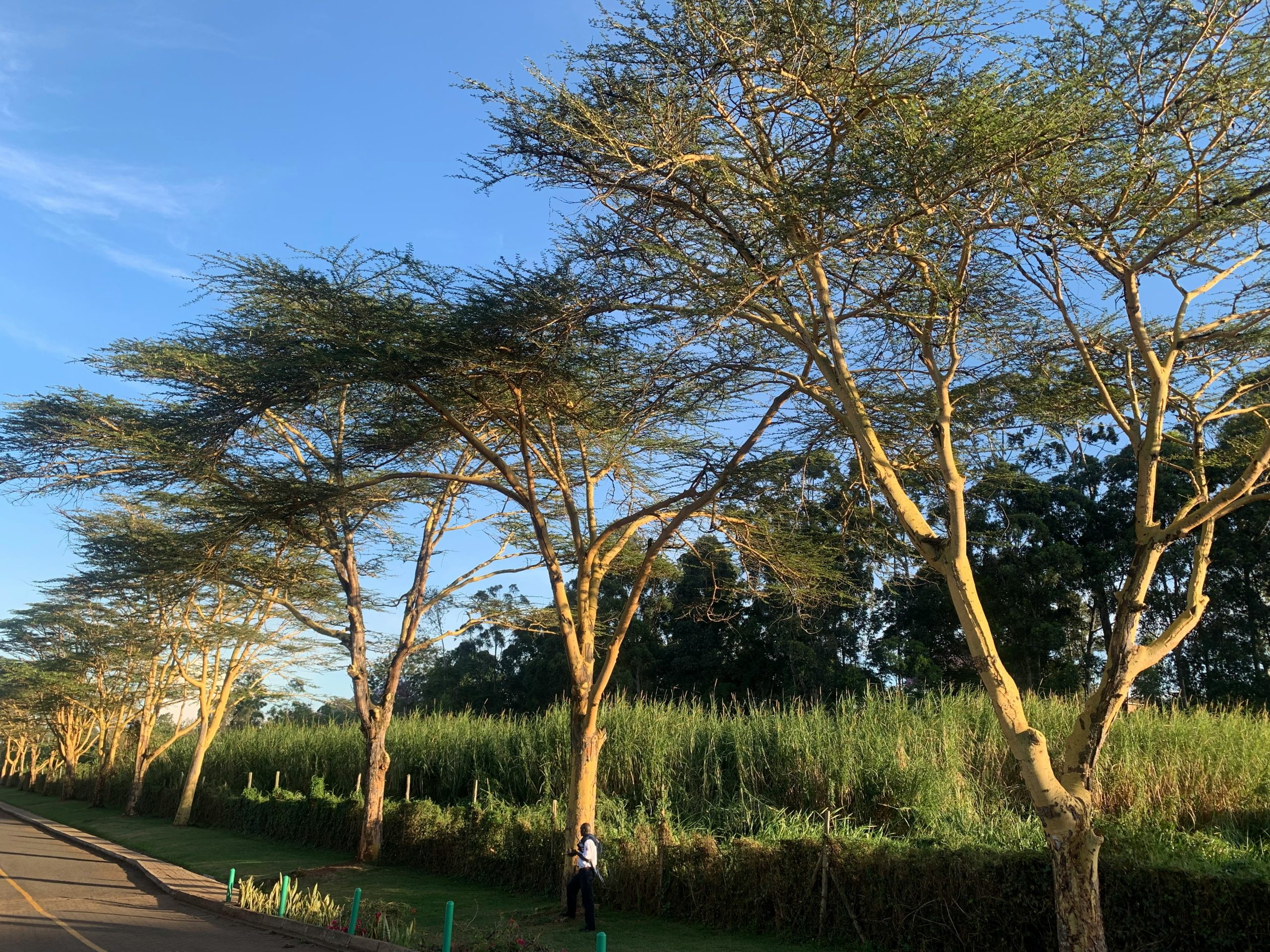 Kenya Country Factsheet