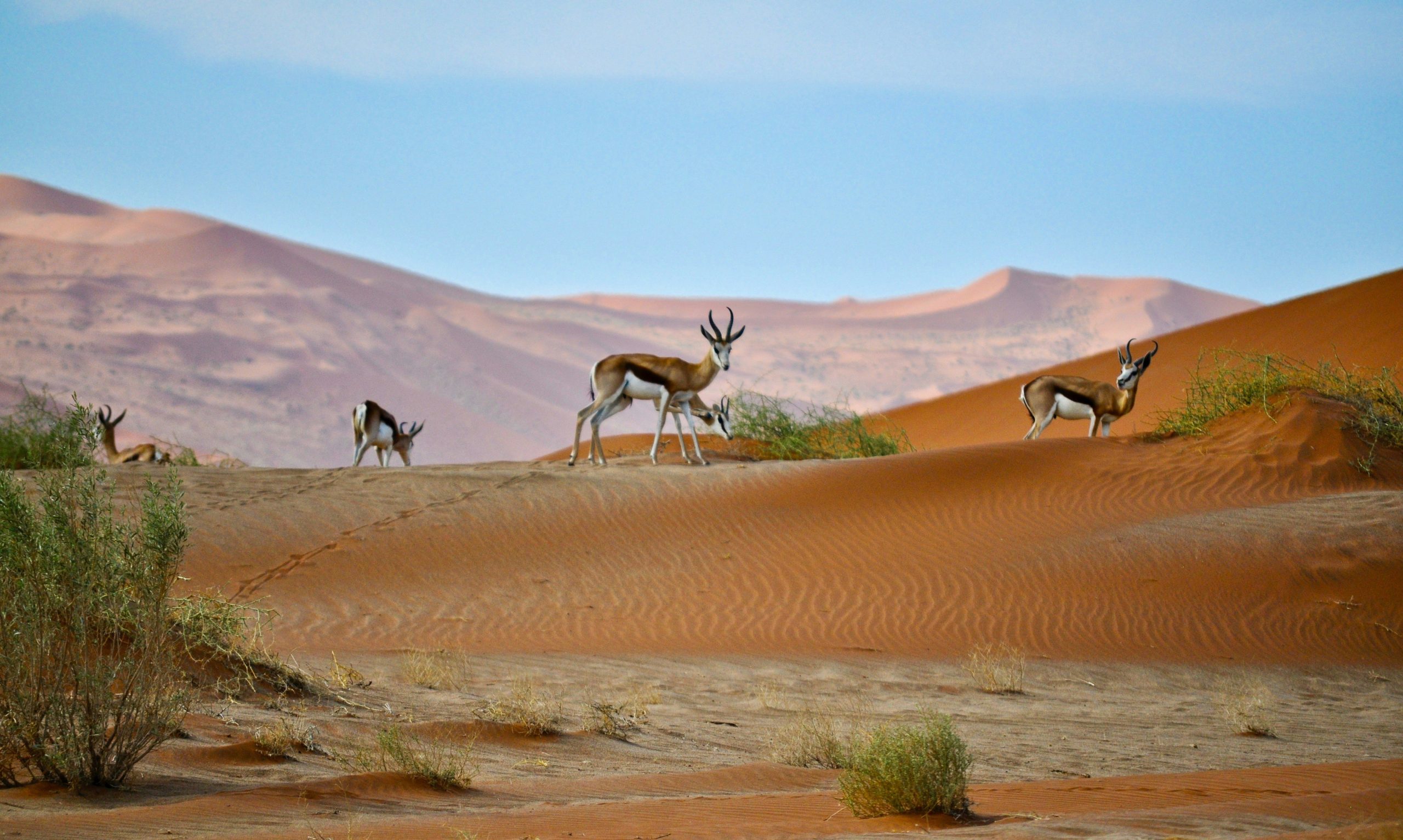 Namibia Country Factsheet