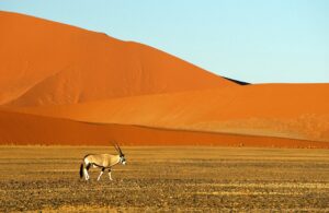 Namib Desert
