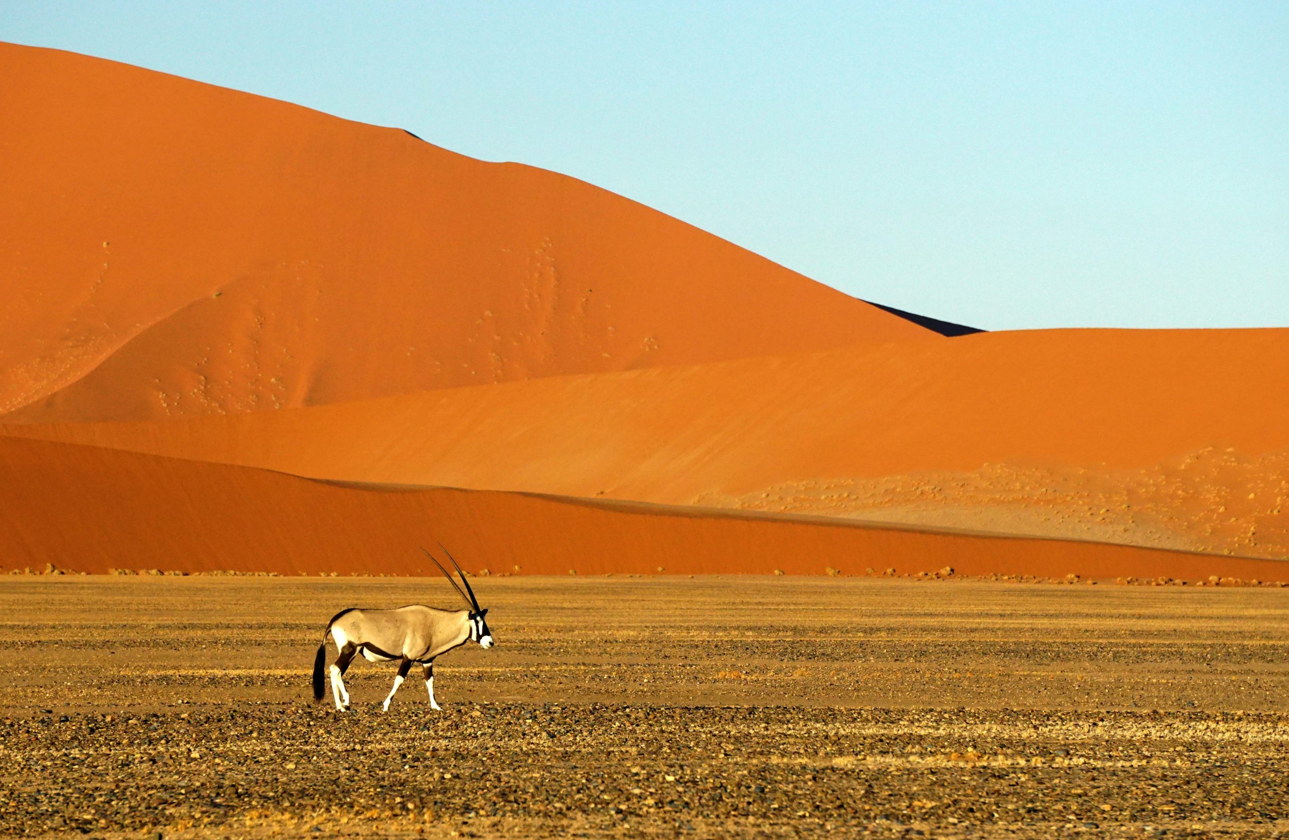 swakopmund