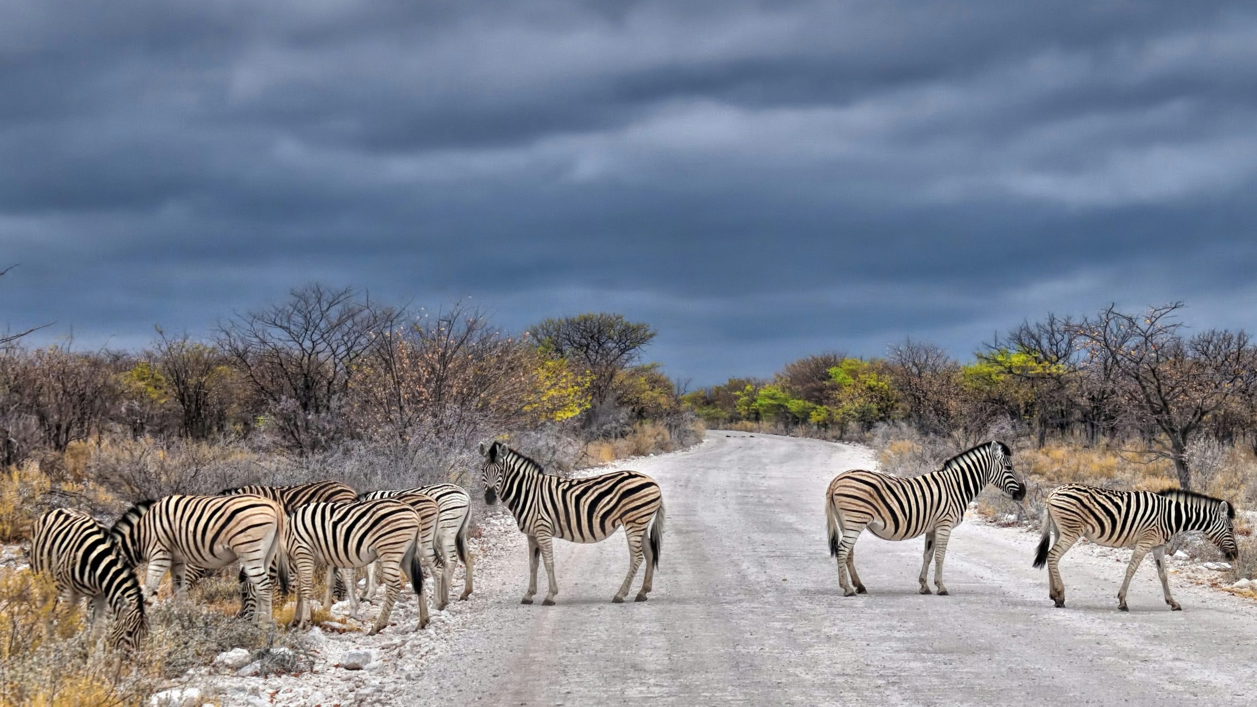 Namibia Country Factsheet
