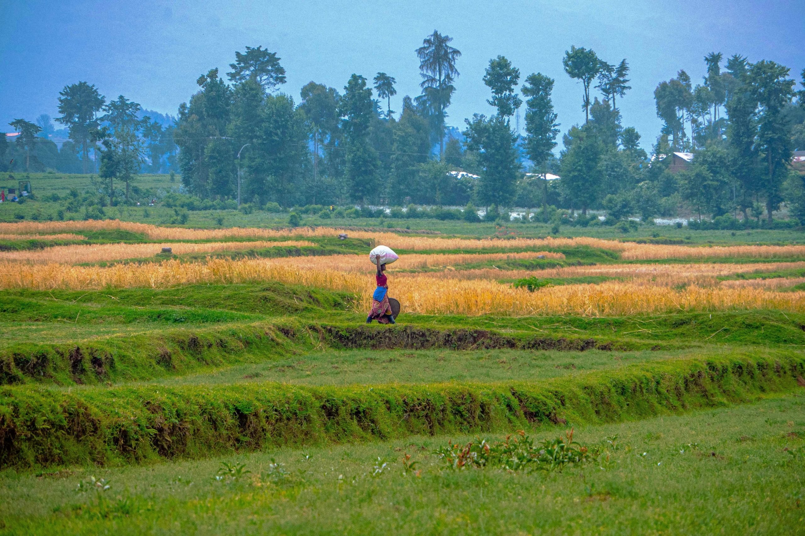 Rwanda Country Factsheet