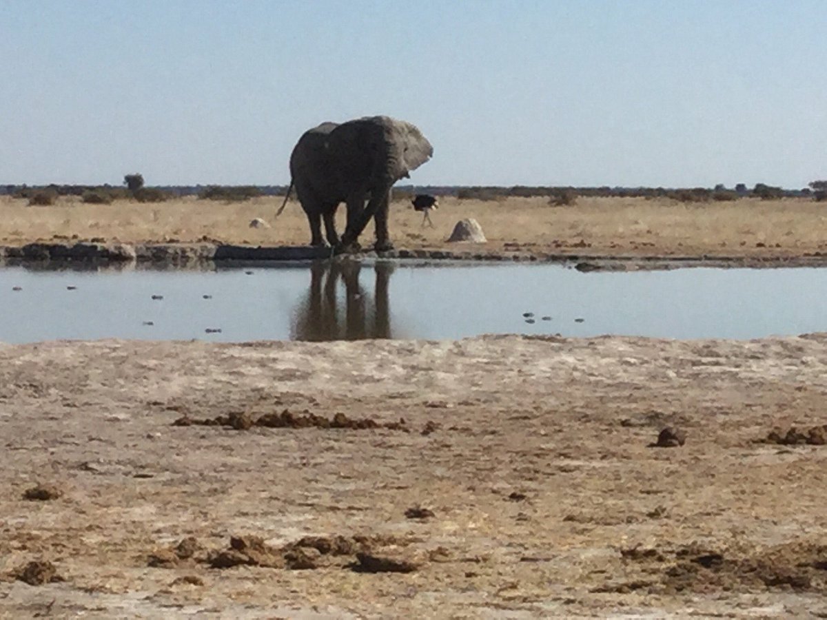 Nxai Pan National Park