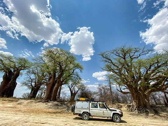 Nxai Pan National Park
