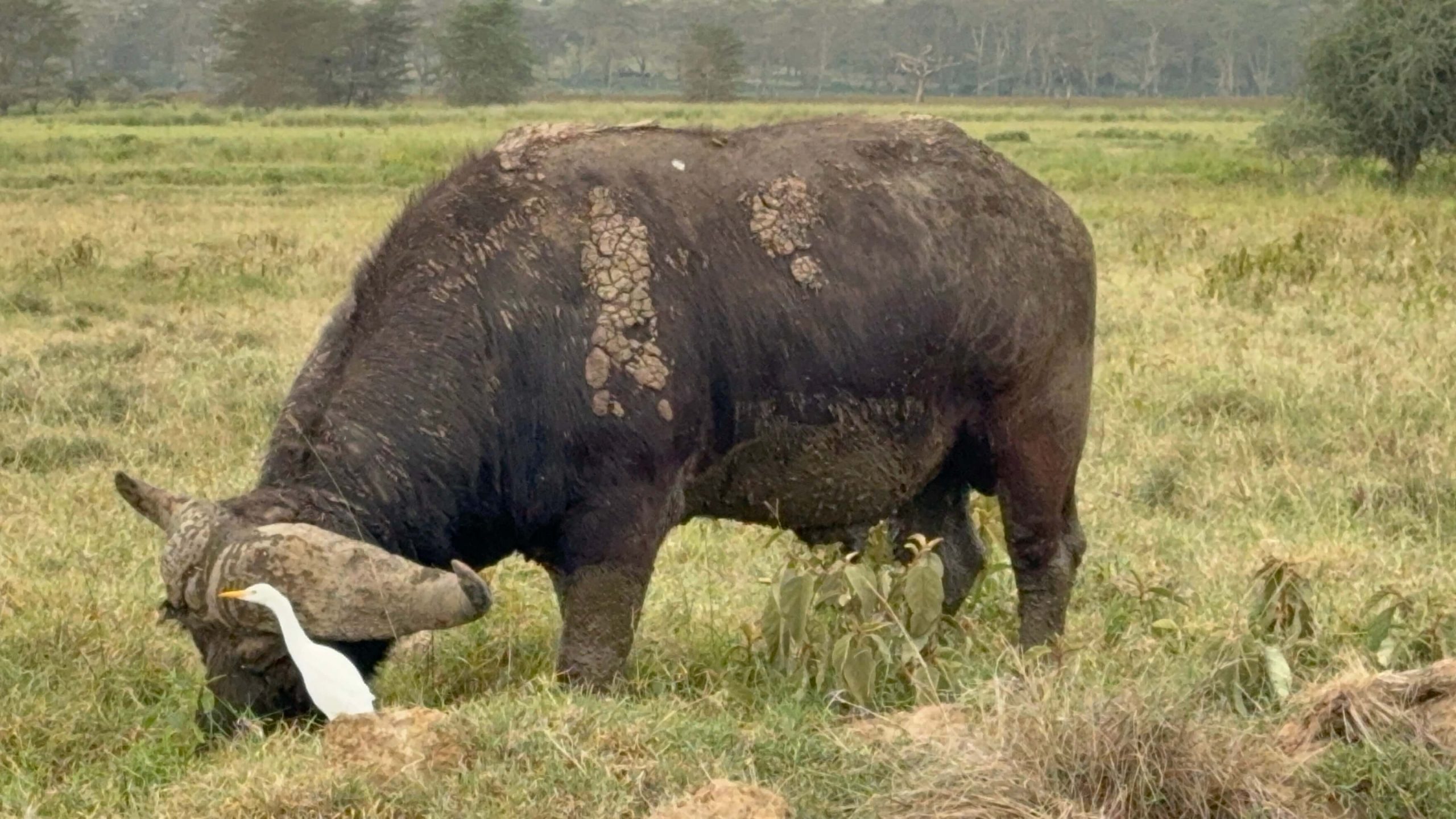 Safe and Secure Tanzania Safari Holiday