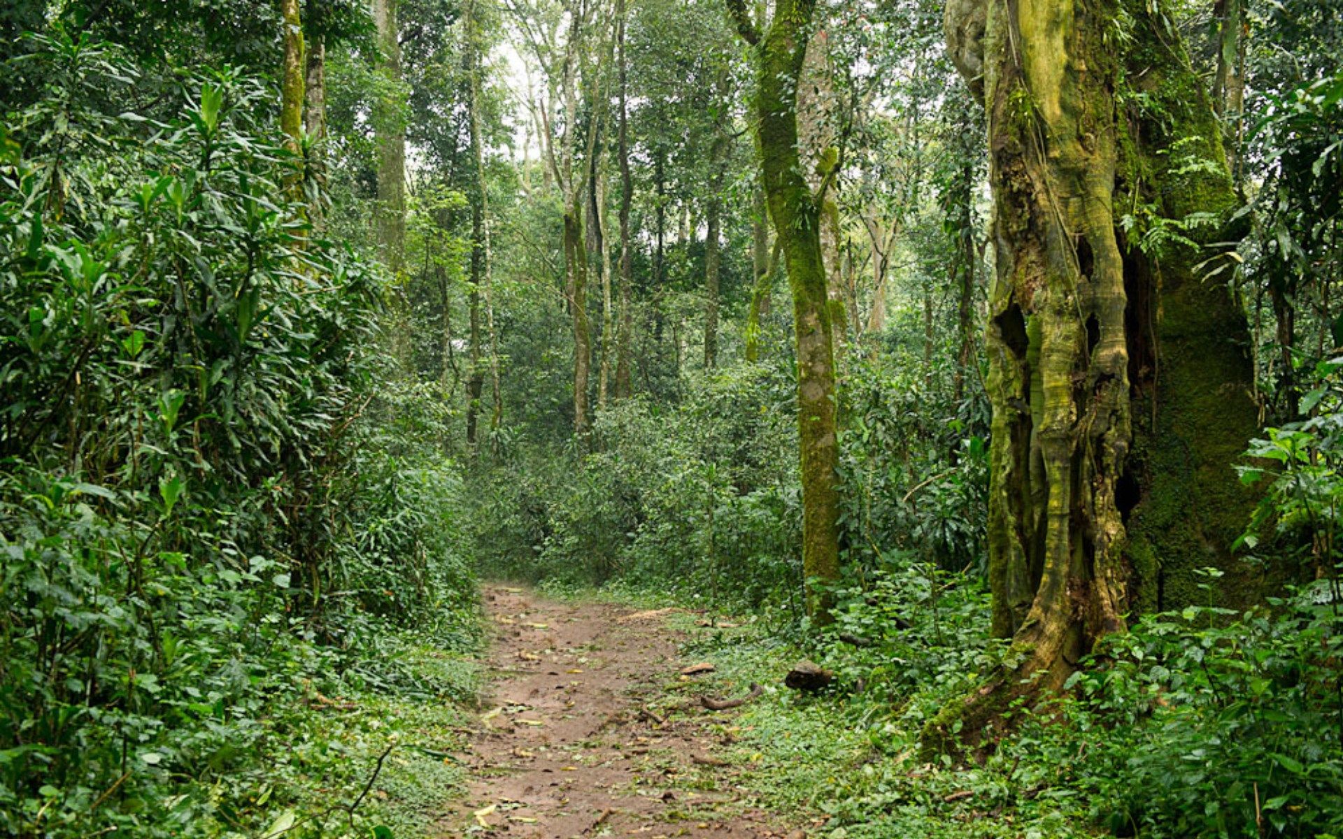 Sensational Rift Valley Birding Safari with Masai Mara