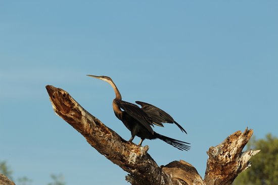 Lake Baringo