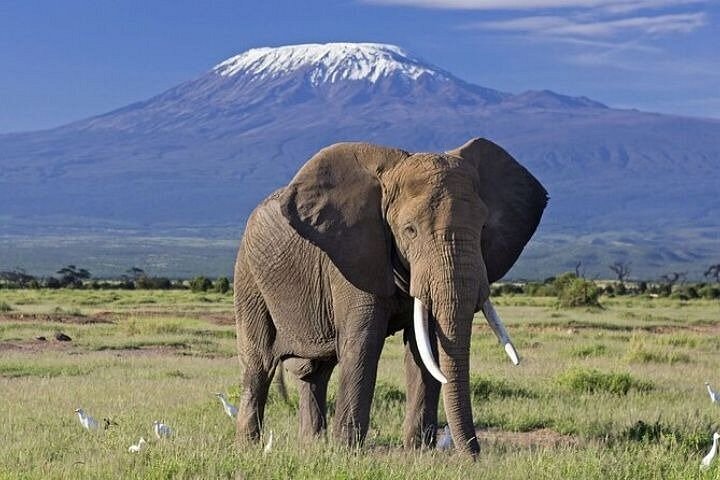 Southbound Kenya Discover Safari