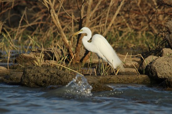 Lake Baringo