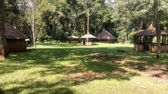 Sensational Rift Valley Birding Safari with Masai Mara
