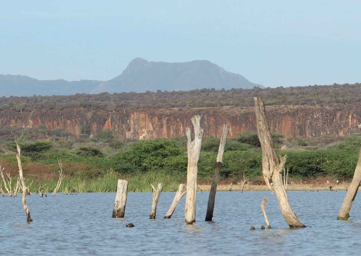Sensational Rift Valley Birding Safari with Masai Mara