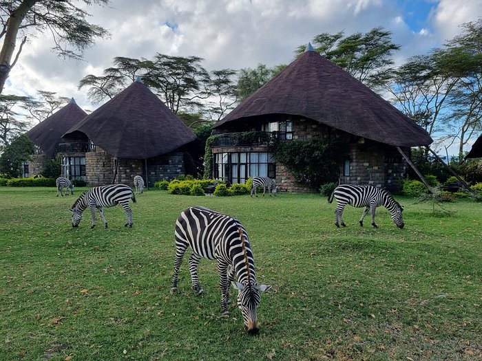 Sensational Rift Valley Birding Safari with Masai Mara