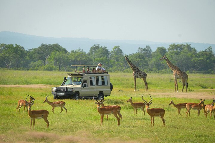 Southbound Kenya Discover Safari