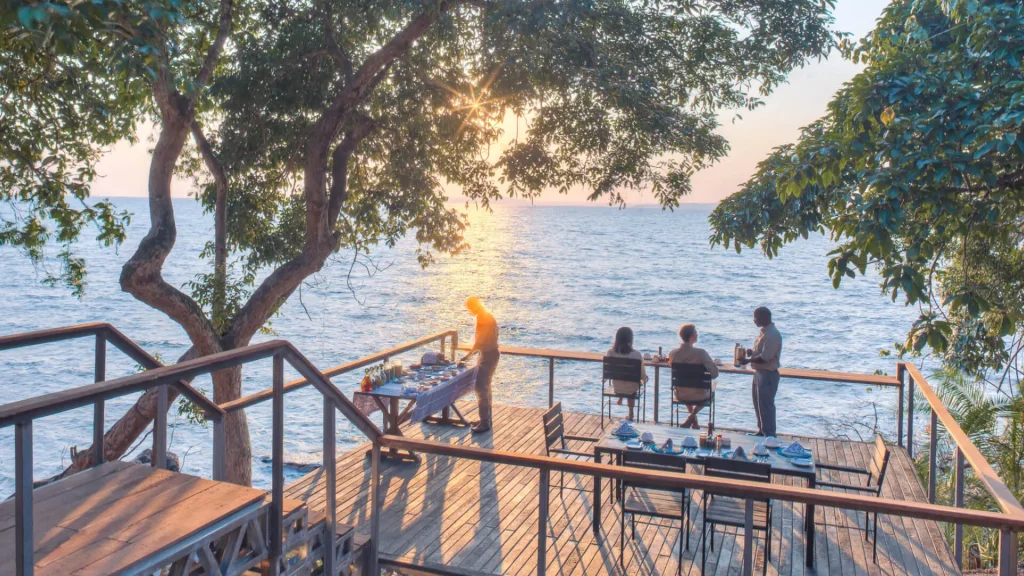 Embark on a Chimpanzee Habituation Adventure in Rubondo Island National Park