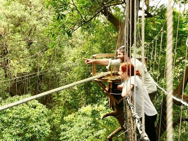 Discover a World of Tanzania Activities with Safari ASAP