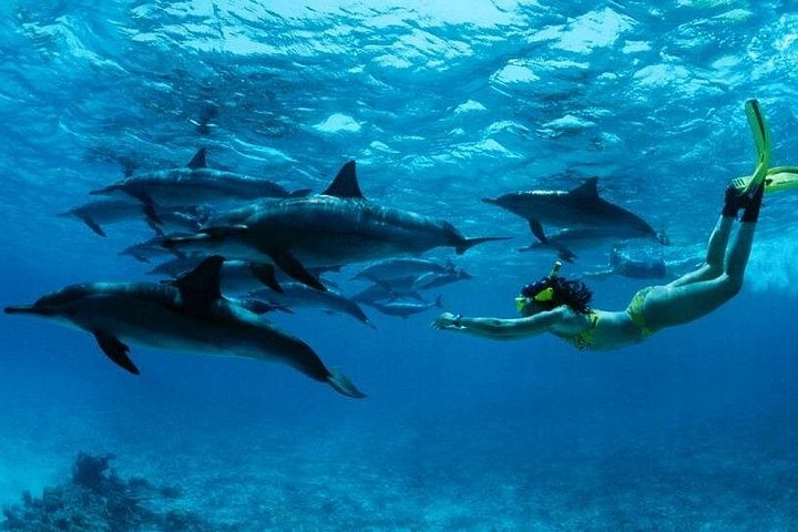 Your Ultimate Guide to Holiday Activities in Zanzibar