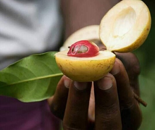 Top Souvenirs to Bring Home from Tanzania