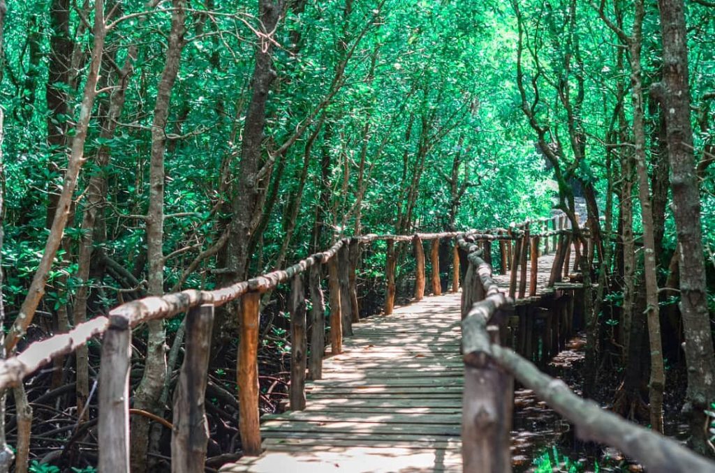Your Ultimate Guide to Holiday Activities in Zanzibar