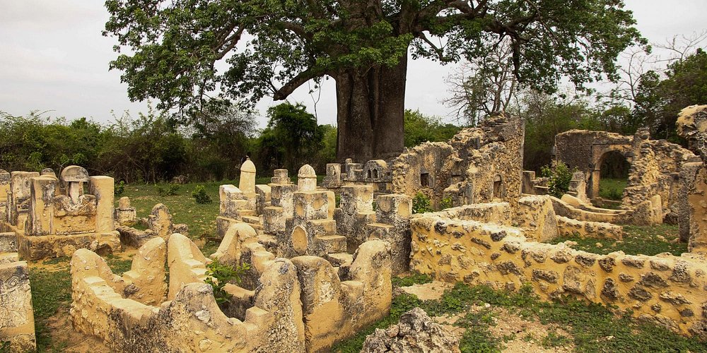 All You Need to Know About Tanzania: A Complete FAQ Guide 