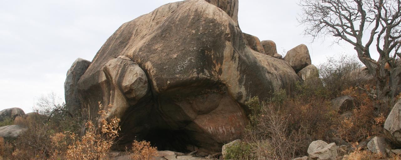 Top Highlights to See on Your Serengeti National Park Safari in Tanzania