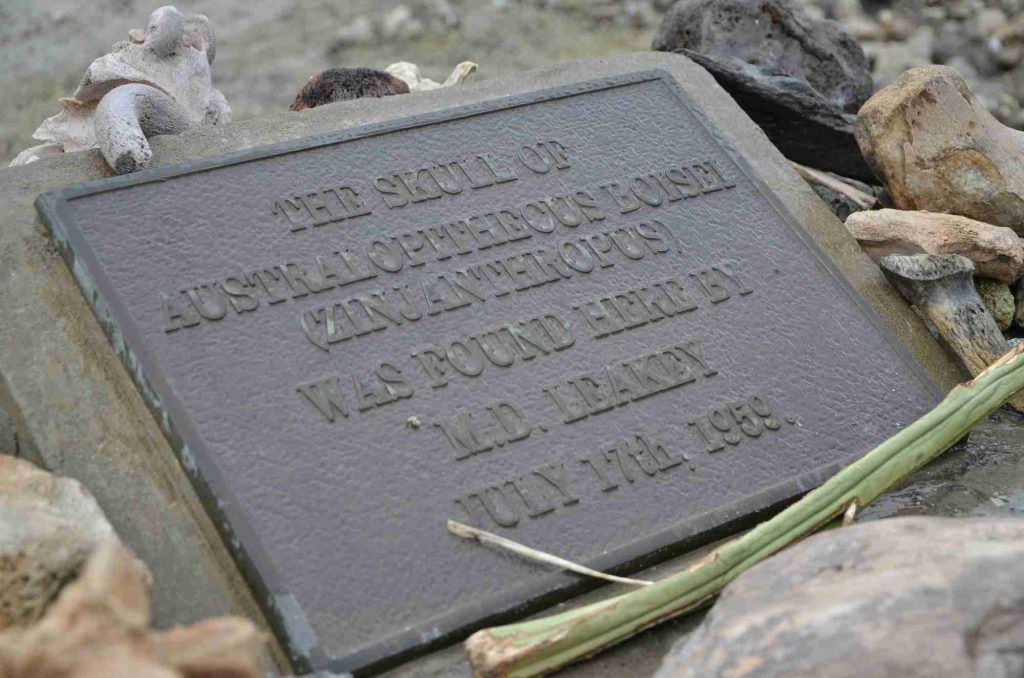 A Complete Guide to Exploring Olduvai Gorge