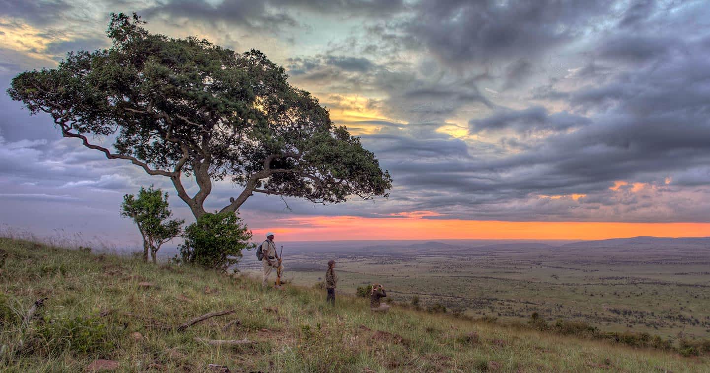 Top Highlights to See on Your Serengeti National Park Safari in Tanzania