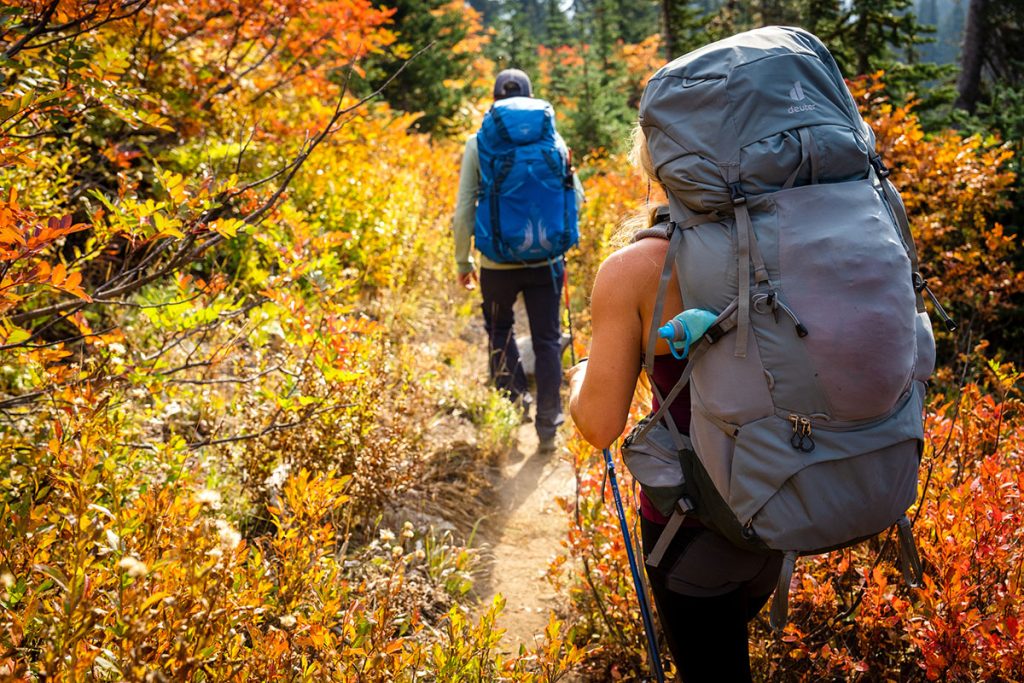 Safari Travel Essentials You Can’t Forget