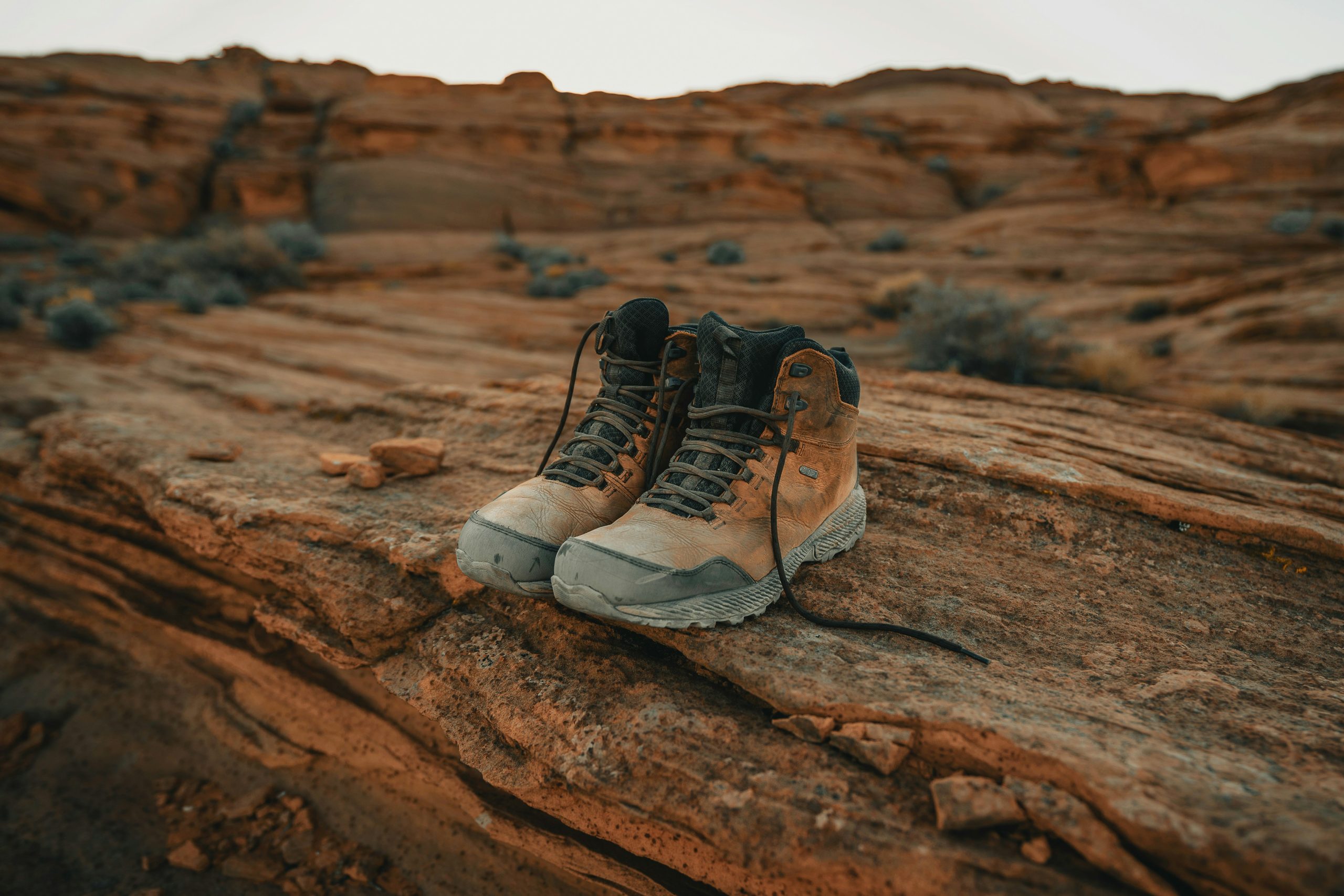 6 Essential Items to Pack for Gorilla Trek